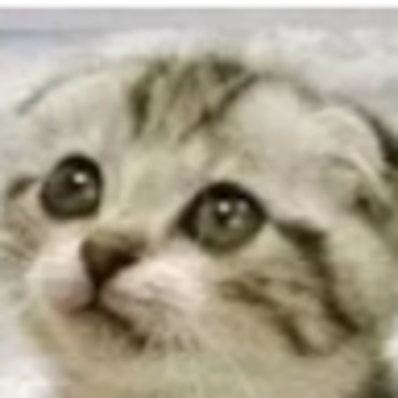 Meet your Posher, Steve & beth - Picture 1 of 1